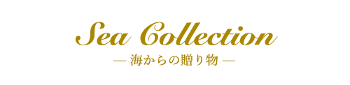 Sea Collection— 海からの贈り物 —